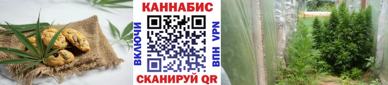 Печенье с ТГК конопля  цены наркотик  Западная Двина 