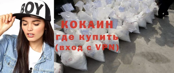 прущие грибы Абаза
