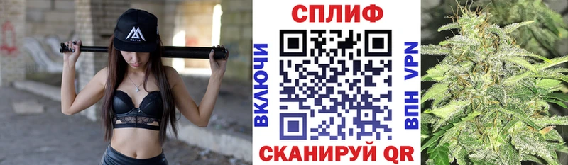 Конопля Bruce Banner  Западная Двина 